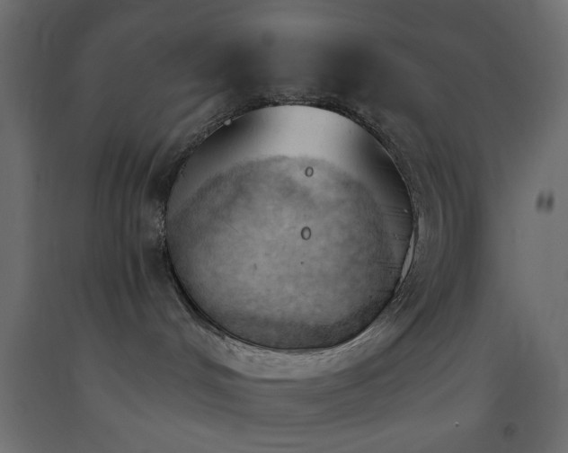 X0000093380048200710111504