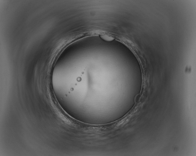 X0000093380049200710111503