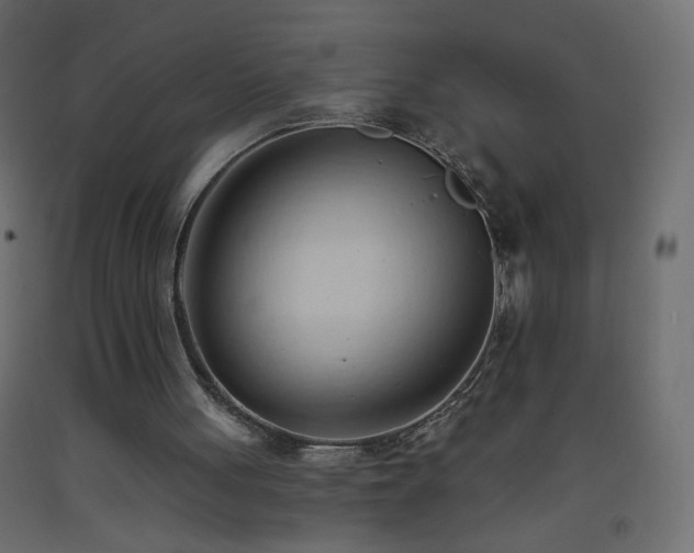 X0000093380051200710111503