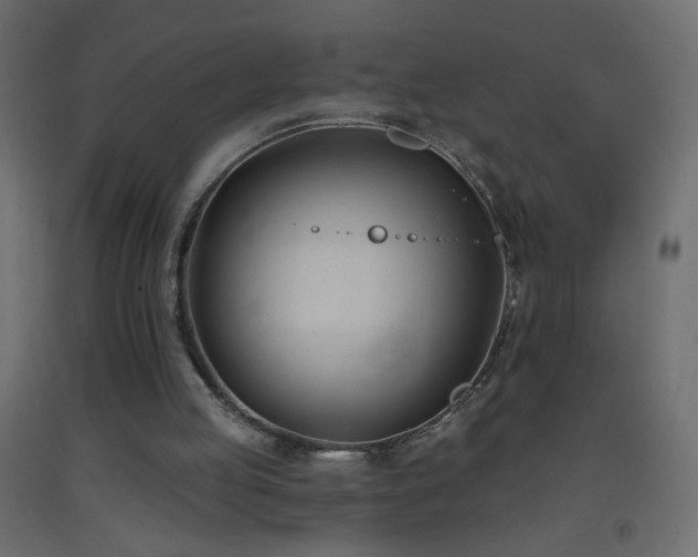 X0000093380053200710111503