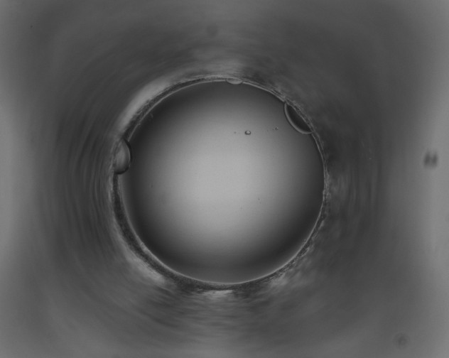 X0000093380054200710111503
