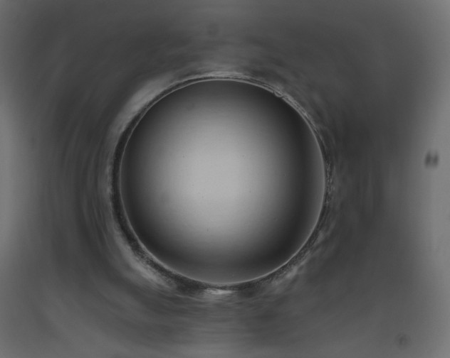 X0000093380055200710111503