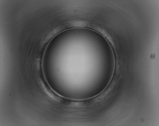 X0000093380057200710111503