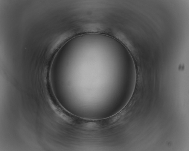 X0000093380058200710111504