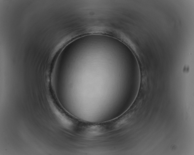 X0000093380059200710111504
