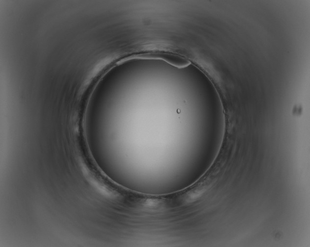 X0000093380060200710111504