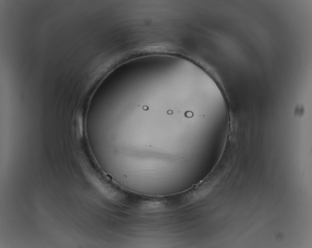 X0000093380061200710111504