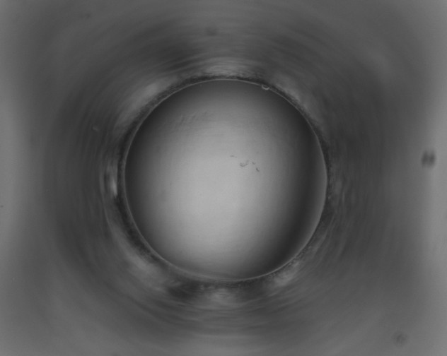 X0000093380062200710111504