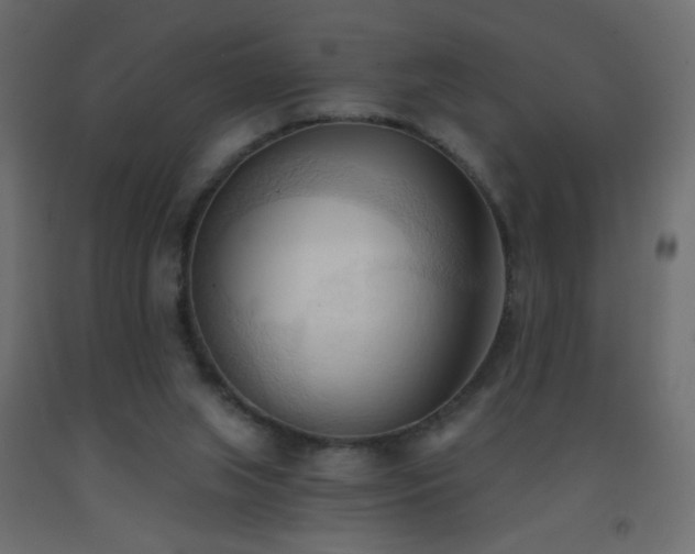 X0000093380063200710111504