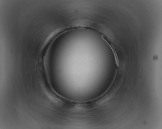 X0000093380064200710111504