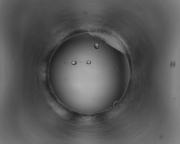 X0000093380065200710111504