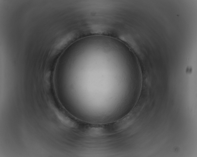 X0000093380066200710111504