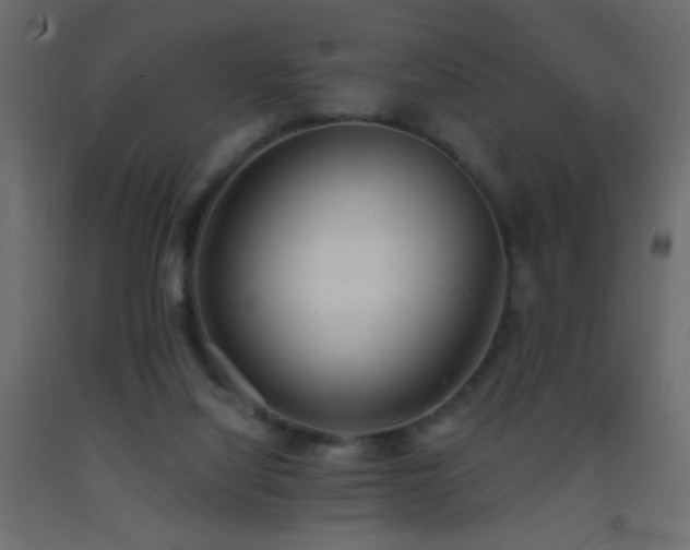 X0000093380068200710111504