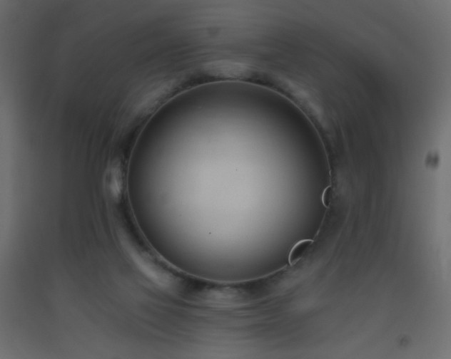 X0000093380069200710111504
