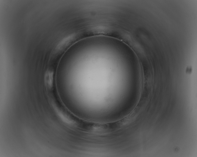 X0000093380070200710111504