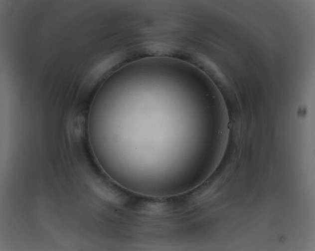X0000093380071200710111504