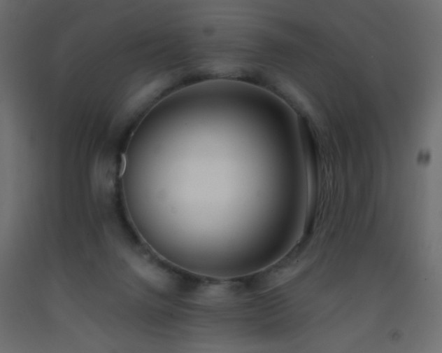 X0000093380072200710111504