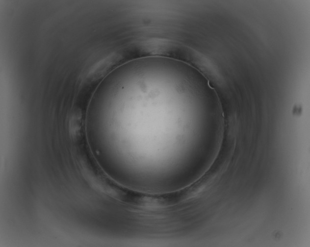 X0000093380073200710111504