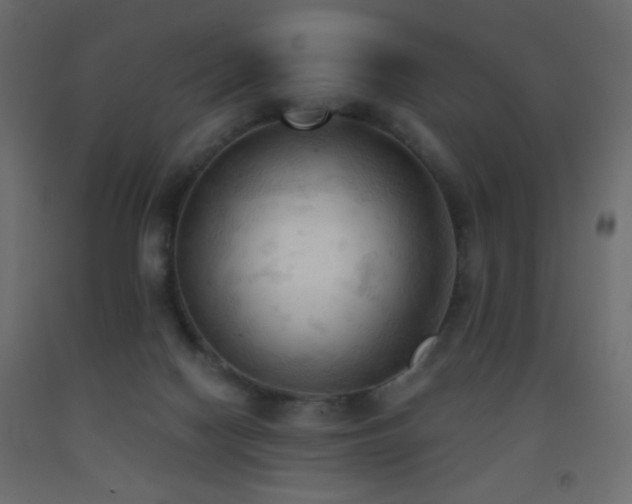 X0000093380074200710111504