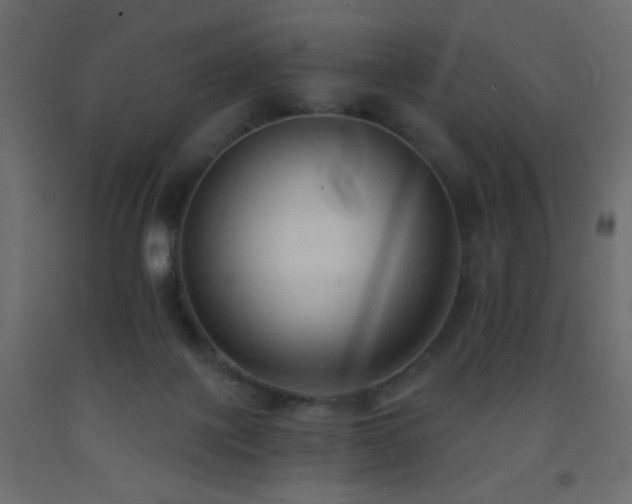 X0000093380075200710111504