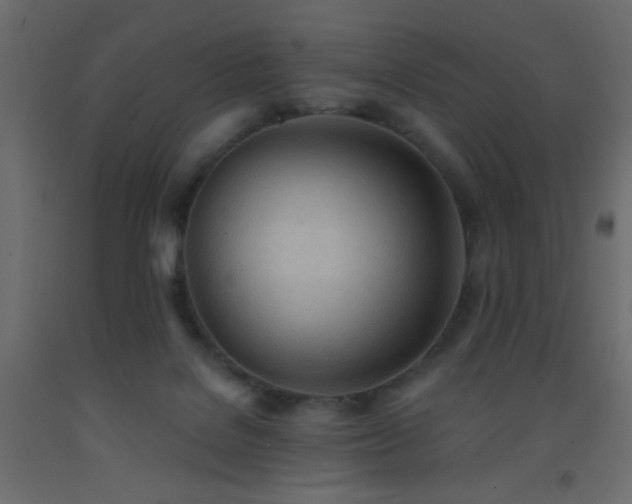 X0000093380076200710111504