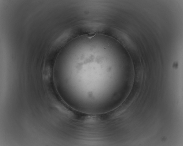X0000093380077200710111504
