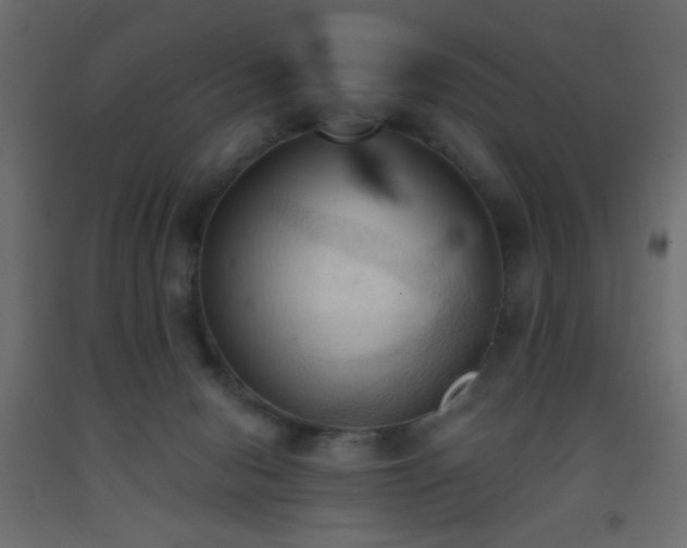 X0000093380078200710111504