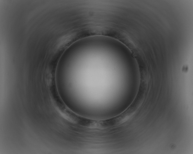 X0000093380080200710111504