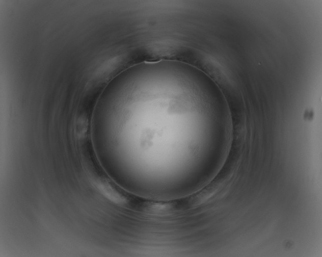 X0000093380081200710111504