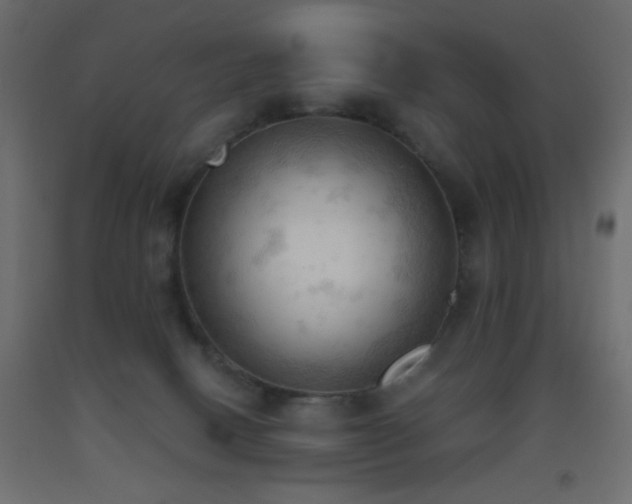X0000093380082200710111504