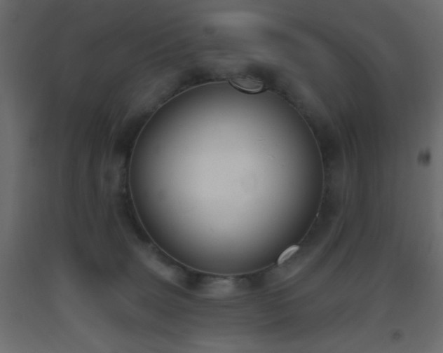 X0000093380083200710111504