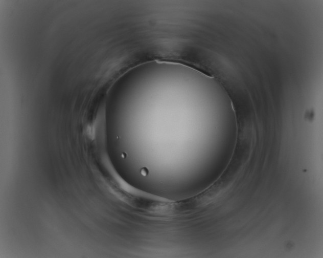 X0000093380084200710111504