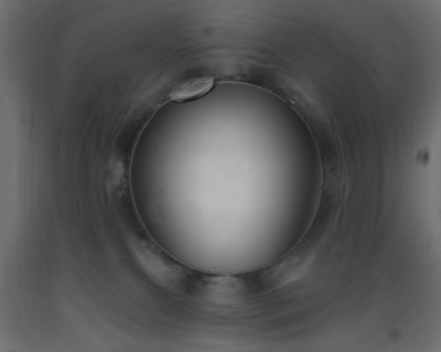 X0000093380087200710111504