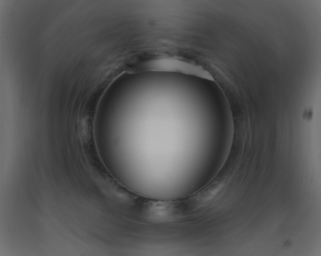 X0000093380088200710111504