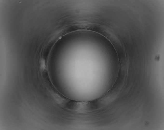 X0000093380089200710111504