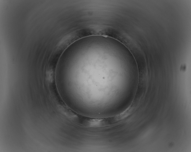 X0000093380090200710111504