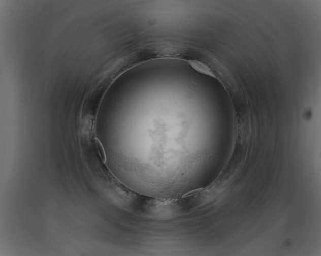 X0000093380093200710111504