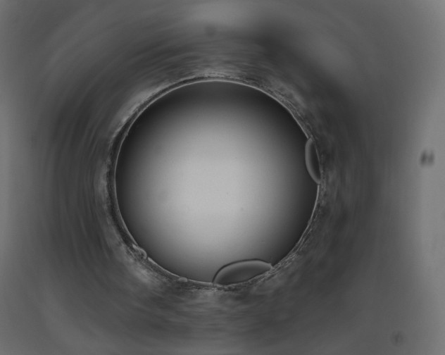 X0000093380098200710111503
