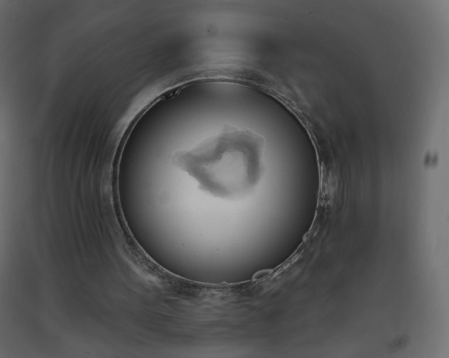 X0000093380099200710111503