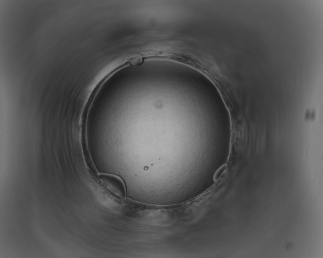 X0000093380100200710111503