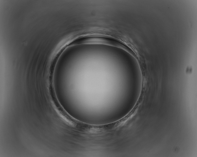 X0000093380101200710111503