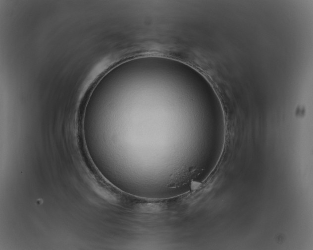 X0000093380102200710111503