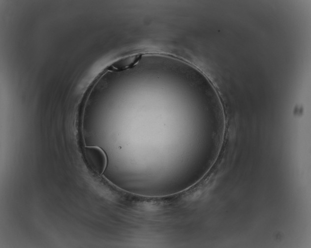 X0000093380103200710111503