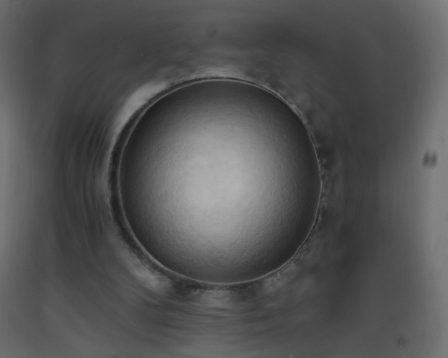 X0000093380104200710111503