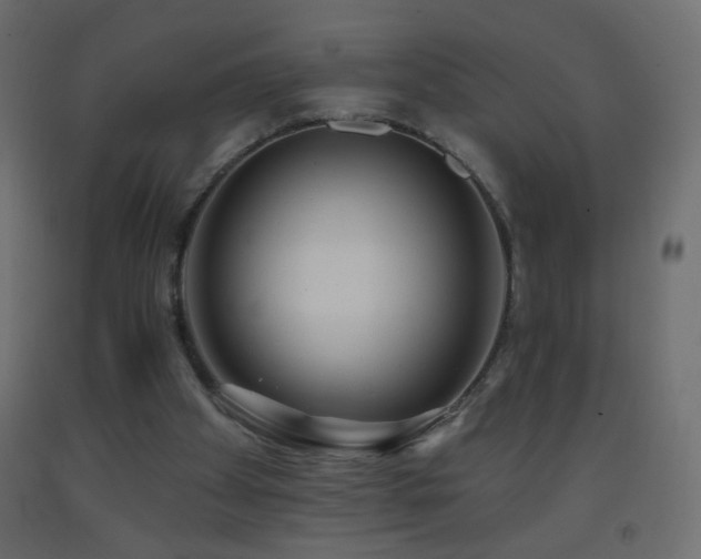 X0000093380105200710111503