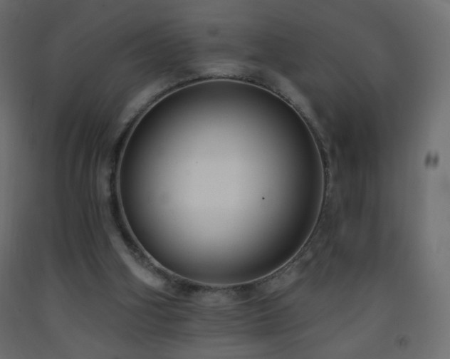 X0000093380106200710111503