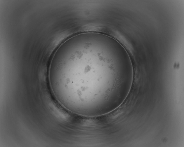 X0000093380107200710111503