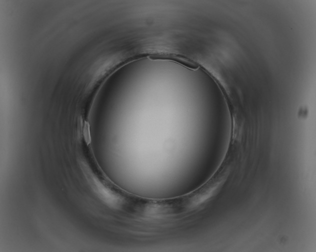 X0000093380109200710111503