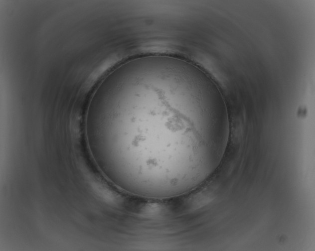 X0000093380111200710111503