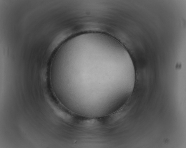 X0000093380112200710111503
